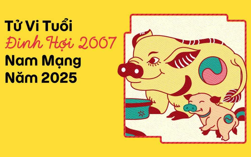 Tử vi tuổi Đinh Hợi 2007 nam mạng năm 2025 (Ất Tỵ)