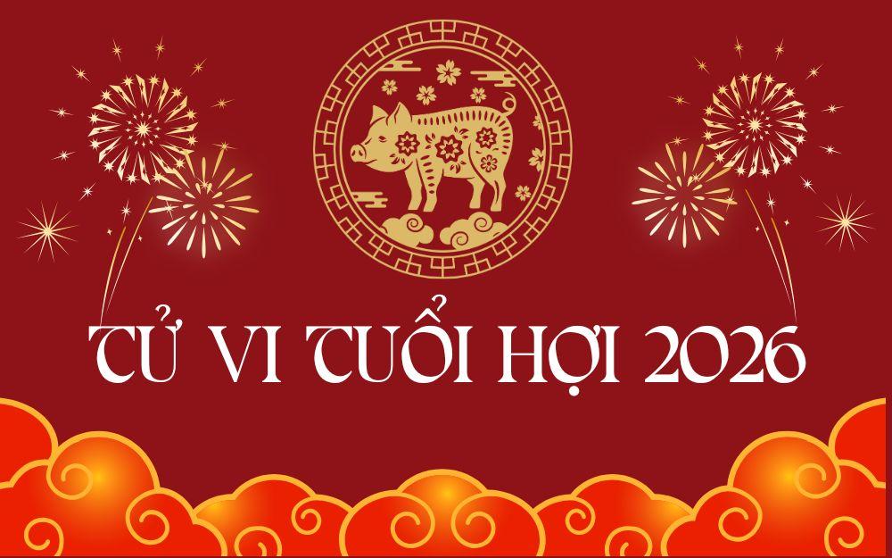 Tử vi tuổi Hợi năm 2026: Có nên thay đổi công việc, đầu tư?