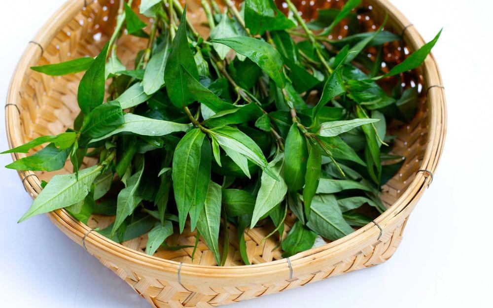 Bầu có ăn được rau răm không? Những lưu ý mẹ bầu cần biết
