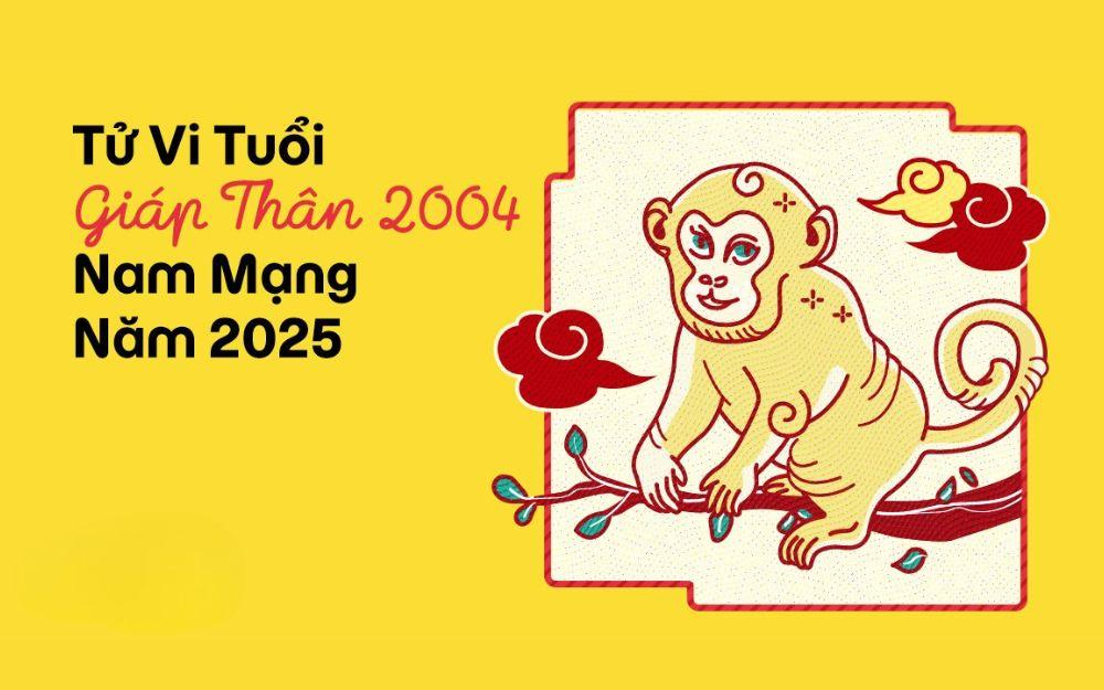 Tử vi tuổi Giáp Thân 2004 nam mạng năm 2025 (Ất Tỵ)