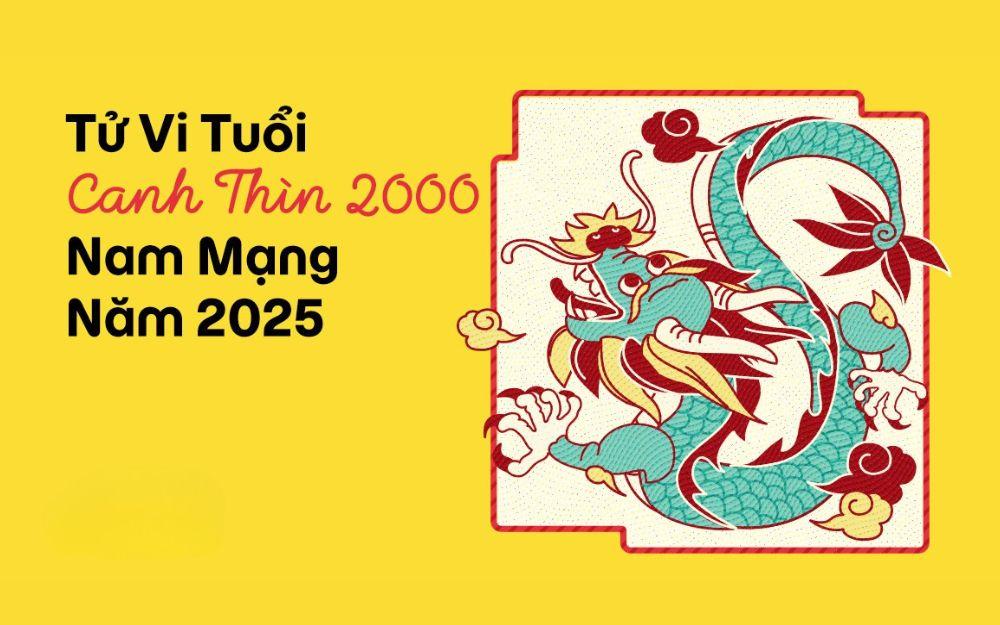 Tử vi tuổi Canh Thìn 2000 nam mạng năm 2025 (Ất Tỵ)