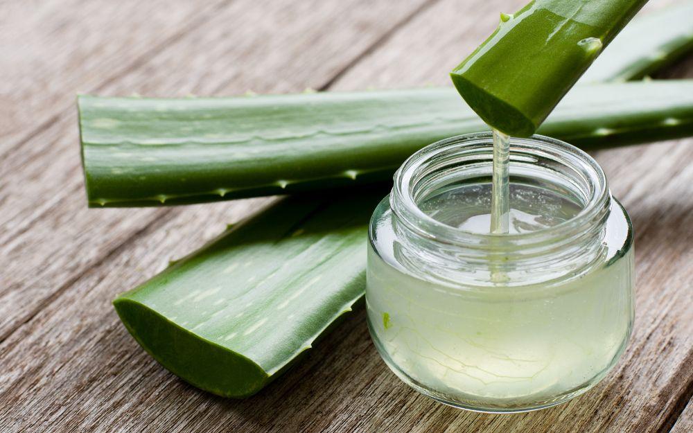 Mách bạn cách nấu nha đam đường phèn không bị đắng, bị nhớt