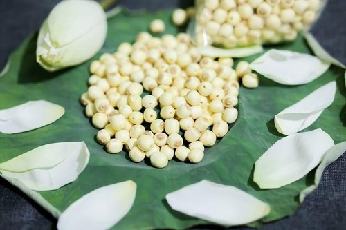 Hạt sen Huế l&agrave; sản vật tiến vua nổi tiếng từ thời Cố đ&ocirc;