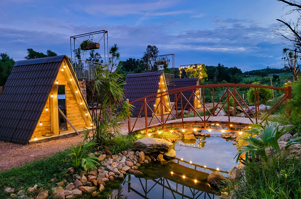 Khung cảnh xanh mát tại Narasa Hills - Edu farm, Coffee, BBQ, Camp