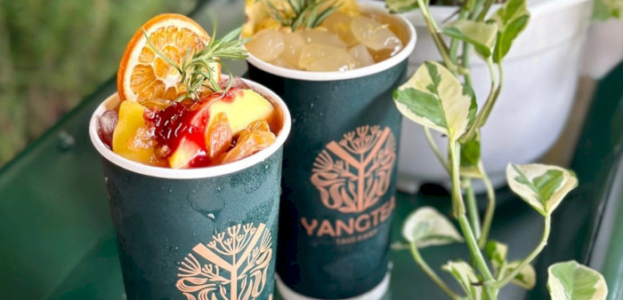 Hai cốc Yang Tea Take Away mát lạnh, trang trí đẹp mắt với trái cây tươi và hương thảo.