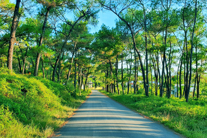 Đồi Thi&ecirc;n An l&agrave; điểm đến y&ecirc;n b&igrave;nh, kh&ocirc;ng kh&iacute; trong l&agrave;nh tại Huế 