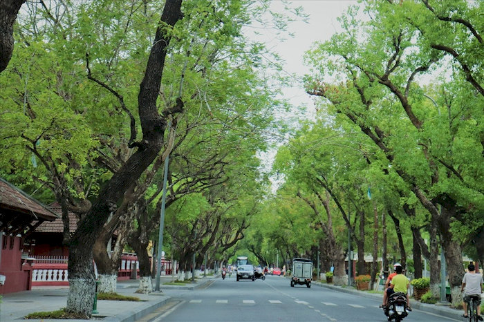 Mùa thu là mùa dịu dàng, bình yên nhất trong năm ở Huế.