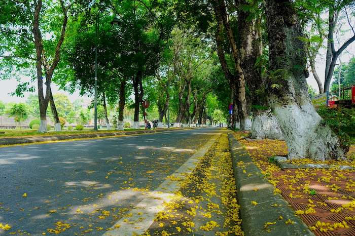 Tháng 7, Huế nắng vàng trải dài khắp những con đường.