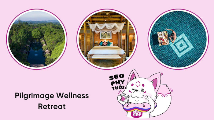 Pilgrimage Wellness Retreat sở hữu kh&ocirc;ng gian nghỉ dưỡng đậm chất thiền định, gần gũi c&ugrave;ng thi&ecirc;n nhi&ecirc;n