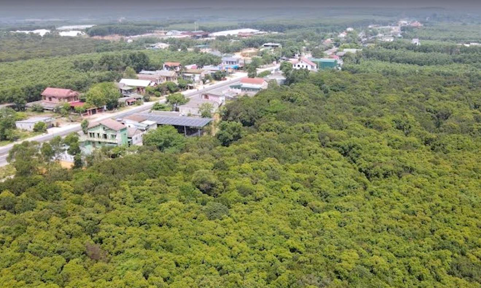Truông Nhà Hồ thuộc Quảng Bình, là vùng rừng núi hiểm hóc từng xảy ra nhiều vụ cướp bóc