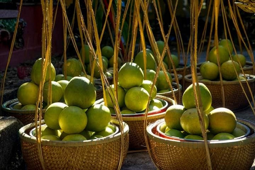 Những trái thanh trà ngon ngọt thường có vỏ mỏng, màu vàng tươi hoặc vàng xanh