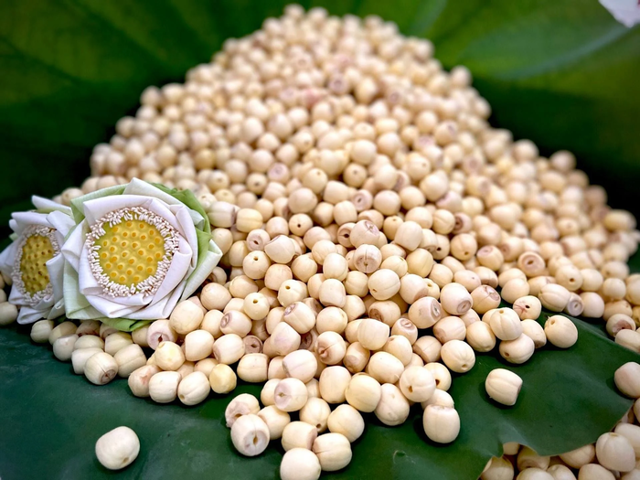 Hạt sen Huế chất lượng mang hương vị thanh m&aacute;t, b&ugrave;i b&eacute;o&nbsp;