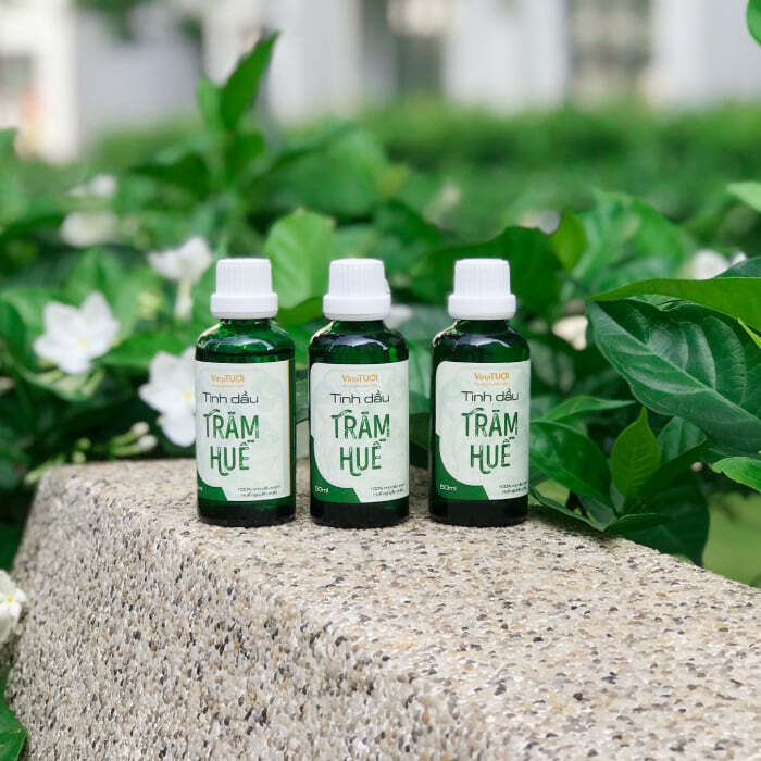 Tinh dầu Tr&agrave;m l&agrave; m&oacute;n qu&agrave; lưu niệm Huế đậm chất Cố Đ&ocirc;